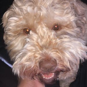 Meet your Posher, Omar